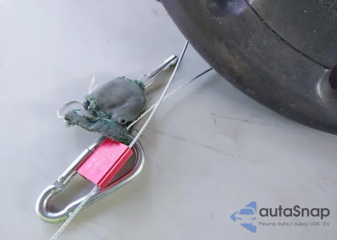 2007 Nissan Sentra 2.0S z USA, uszkodzony, nr VIN 3N1AB61E07L712715